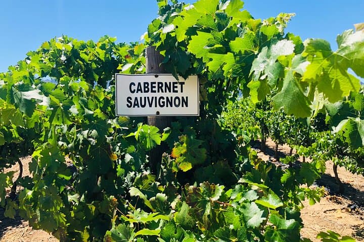 Private Tour of Top 5 Stellenbosch Wineries From Cape Town