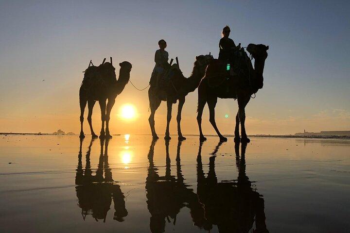 3-hour camel ride at sunset