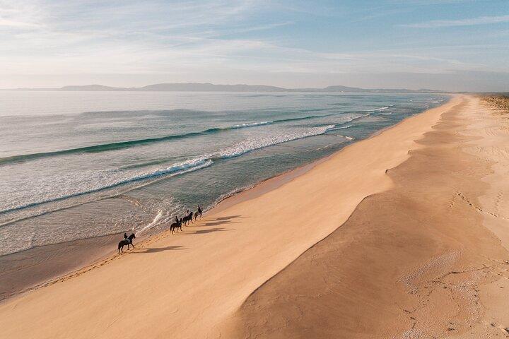 Horse Riding on the Beach with private transfer from Lisbon