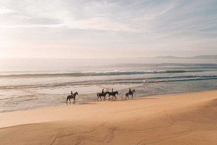 Horse Riding on the Beach with private transfer from Lisbon