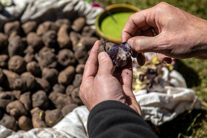 Randonnée privée dans les lagons du parc de pommes de terre avec déjeuner dans la vallée sacrée