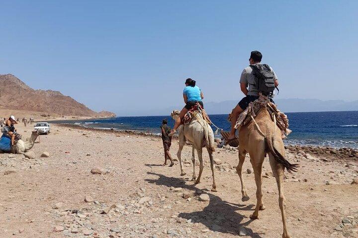 Blue Hole, Kamelritt und private Schnorcheltour in Dahab von Sharm El Sheikh