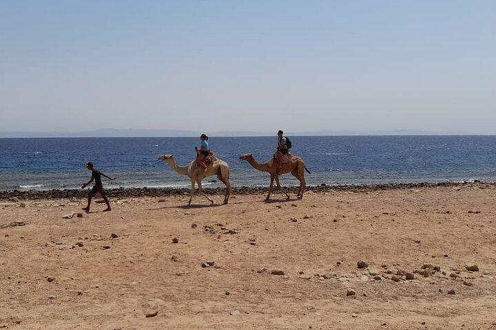 Blue Hole, Kamelritt und private Schnorcheltour in Dahab von Sharm El Sheikh