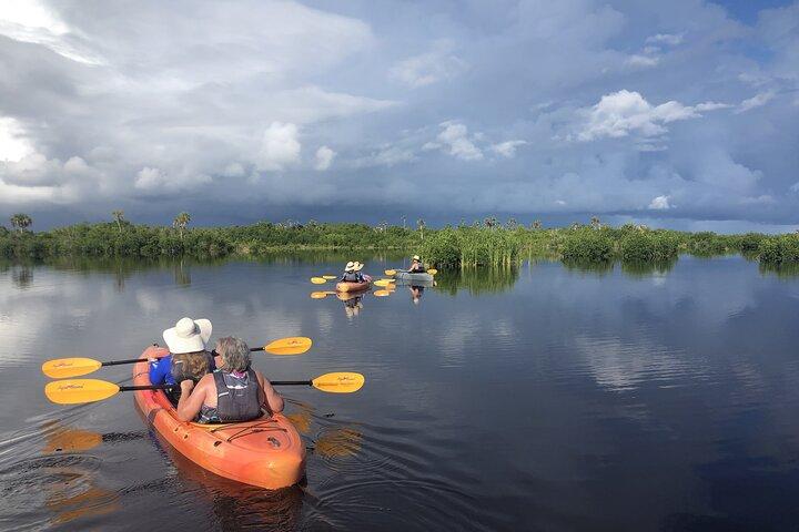 Manater och mangrovetunnlar Small Group Kajak Tour