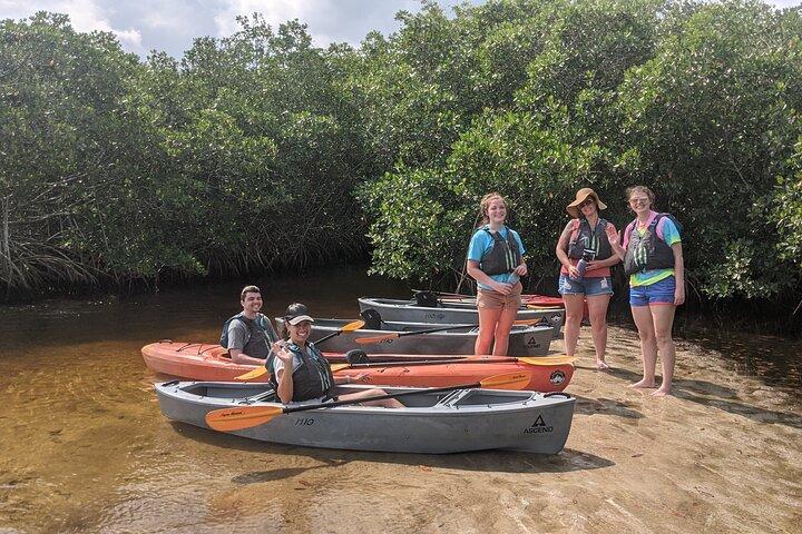 Manater och mangrovetunnlar Small Group Kajak Tour