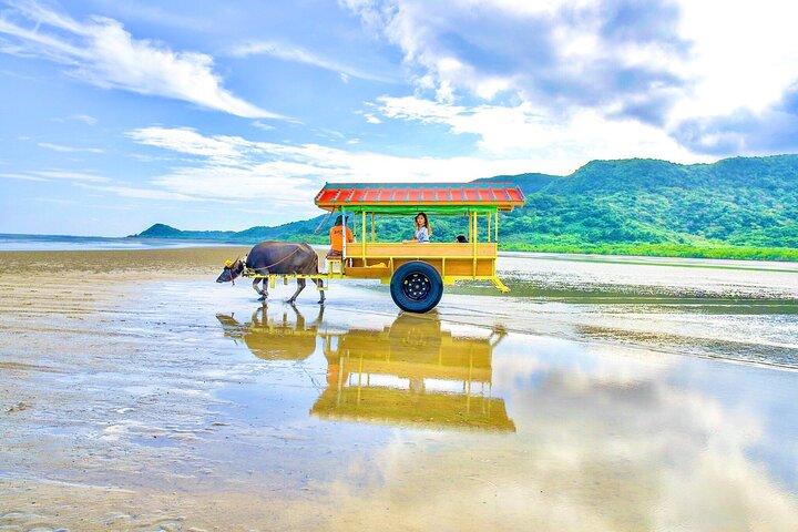 Okinawa Iriomote Island 1 dag - Vol charme van dit afgelegen eiland!Yubu Island Sightseeing & Werelderfgoed Mangrove SUP of Kano