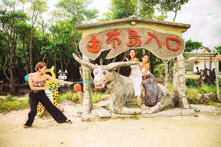 Okinawa Iriomote Island 1 dag - Vol charme van dit afgelegen eiland!Yubu Island Sightseeing & Werelderfgoed Mangrove SUP of Kano