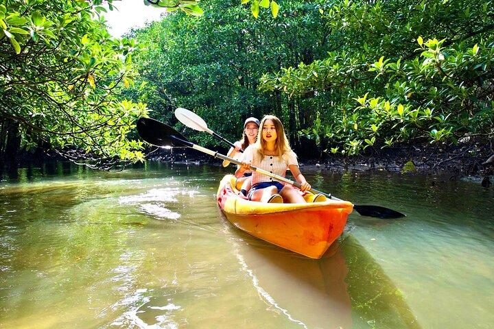 Okinawa Iriomote Mangrove SUP of kanotocht