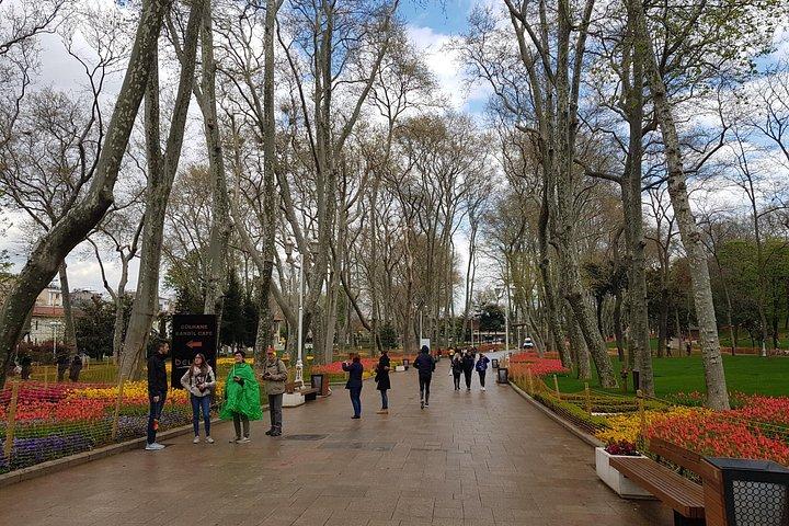 Best of Istanbul Walking Tour | Top Sites (2.5 Hours)