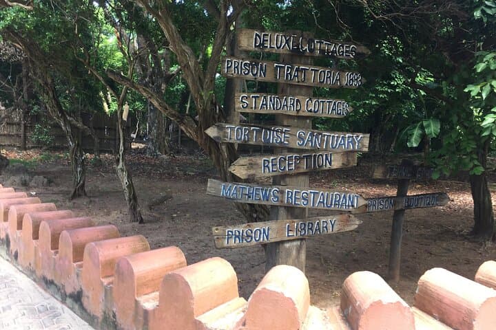 Full-day Prison Island, Nakupenda and Stone Town Tour with Lunch Buffet