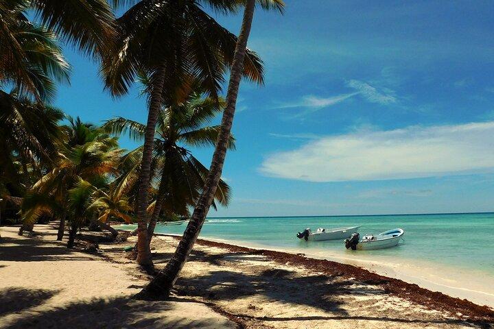 Full Day Tour to Saona Island by Catamaran and Speedboat