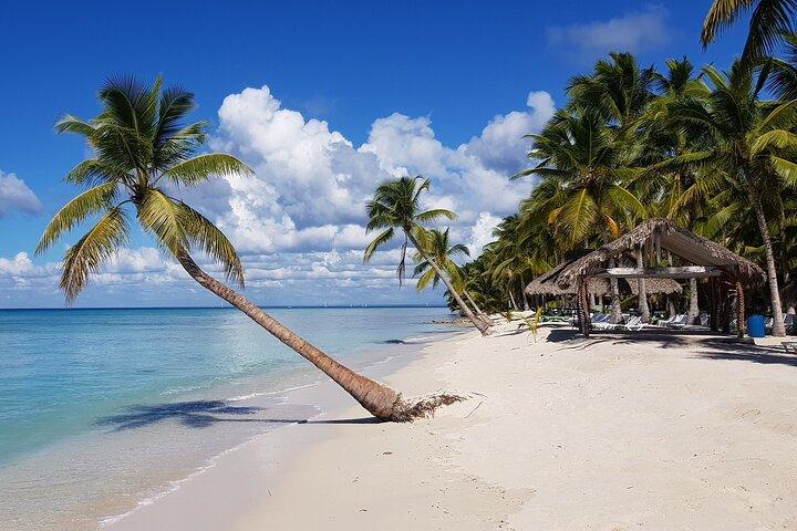 Full Day Tour to Saona Island by Catamaran and Speedboat