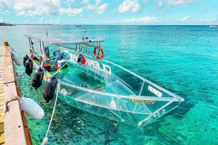 Cozumel Buggy Island Tour, Otoch Maya Experience & Clear Boat