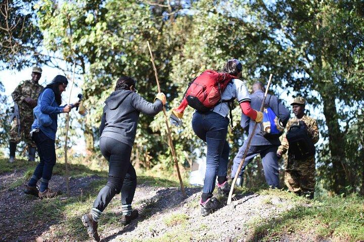 4-daagse Bwindi Impenetrable National Park Wildlife Safari