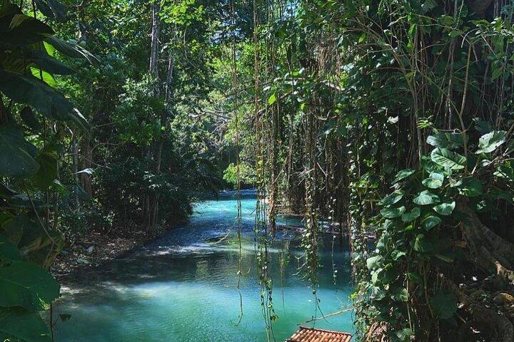Martha Brae Bamboo Rafting più Blue Hole e Secrets Fall Private Tour