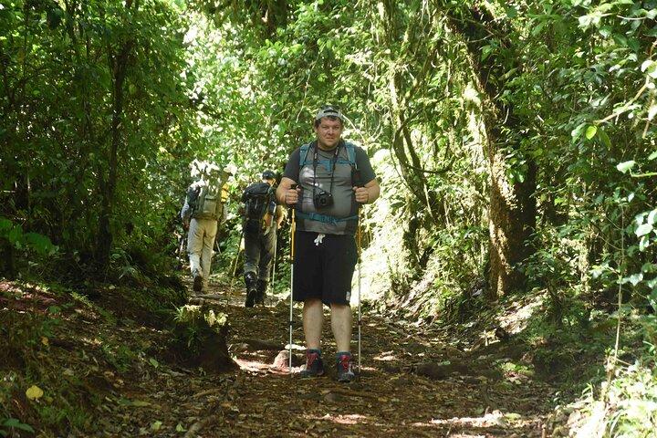 10 dages Mount Kilimanjaro vandretur Northern Circuit Route
