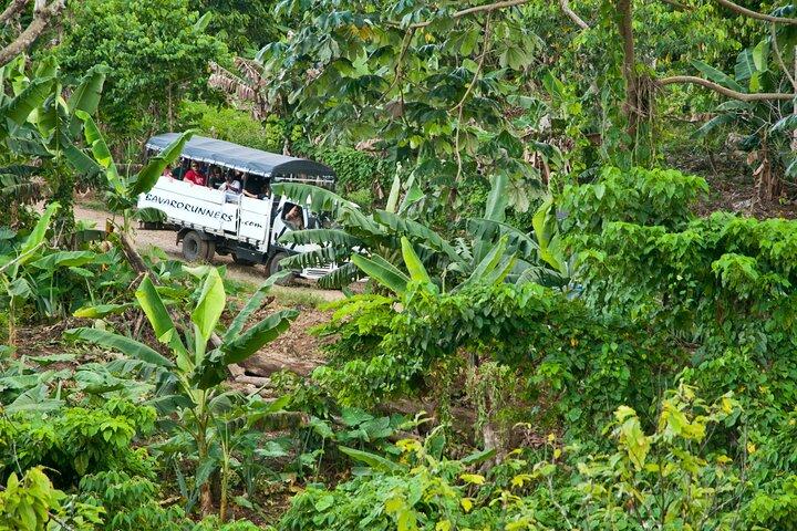 Safari autêntico de meio dia e combinação tradicional