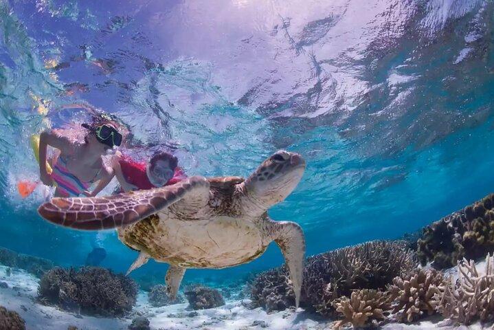 Dia inteiroTurtle Adventure: ATV, Zipline, Cenote & Turtle Swim
