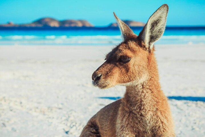 6-dages Esperance & Margaret River Adventure Tour