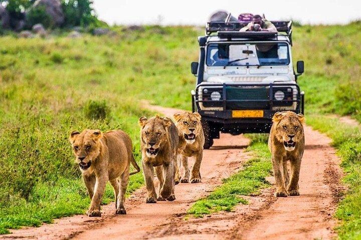 6-dages uforglemmelig tur i Tanzania