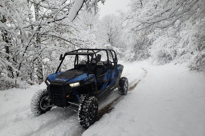 Safari privato in quad o buggy di 1 ora a Borovets
