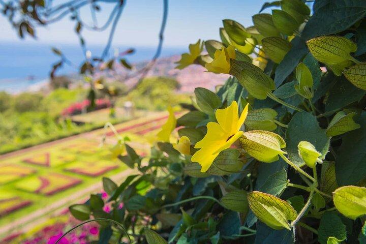 Funchal Old Town & Botanical Garden Private Tuk Tuk Tour