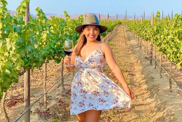 Baja Wineries