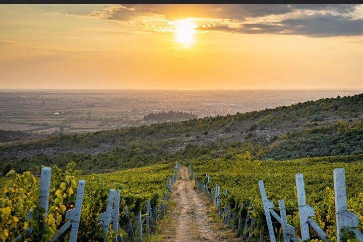 Private Tagestour von Tirana : Durres, Ardenica & Weinprobe