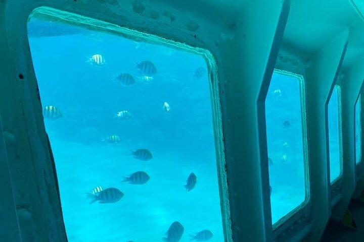 O melhor de roatan por terra e mar