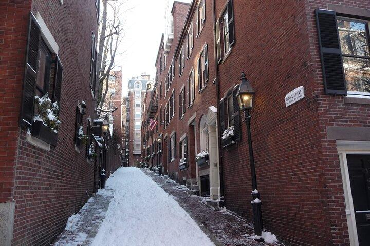 3-timmars privat "Cold Weather- Warm Van" körtur i Boston