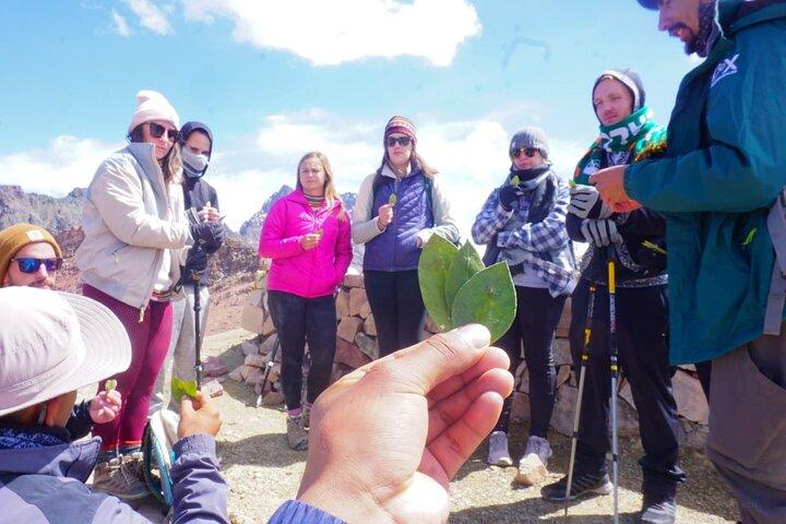 Tagestour durch den Regenbogenberg ab Cusco mit kleiner Gruppe