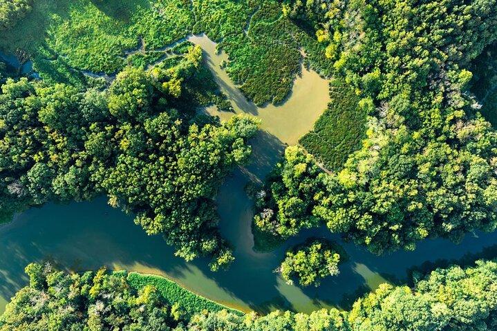 Volo panoramico della foresta pluviale di 30 minuti