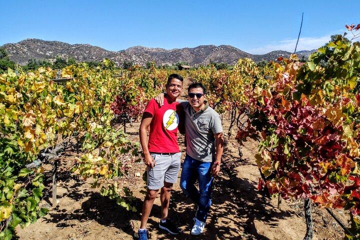 "Valle de Guadalupe", vivi, divertiti e incontra la Valle d'Oro