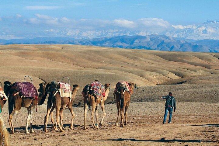 Agafay Desert Sunset Camel ride