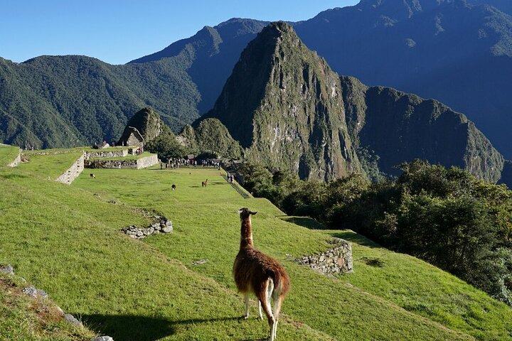 1 Tagestour nach Machu Picchu mit dem Zug (Gruppenservice)