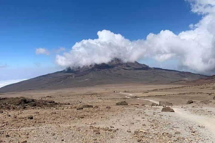 Berget Kilimanjaro - Lemosho Route
