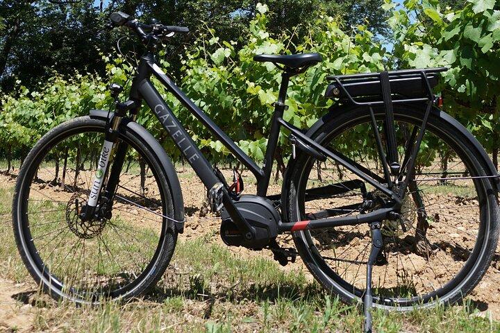 Wein des Luberon mit dem E-Bike... Nicht verpassen!