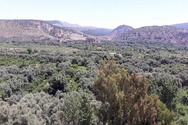 Full day excursion to Ourika Valley & Waterfalls (with Group)