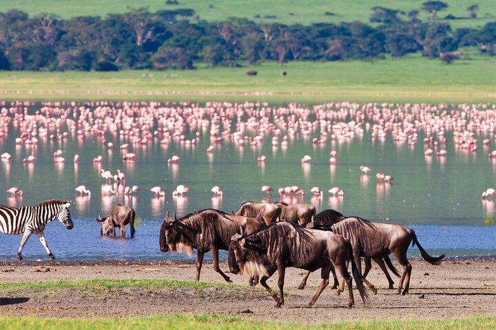 4 dagen Safari met watervallen en warmwaterbron