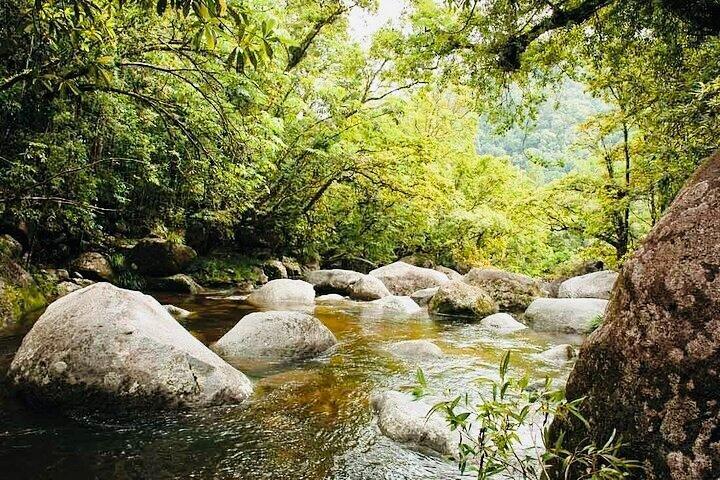 Affordable Return Mossman Gorge from Port Douglas Transfers