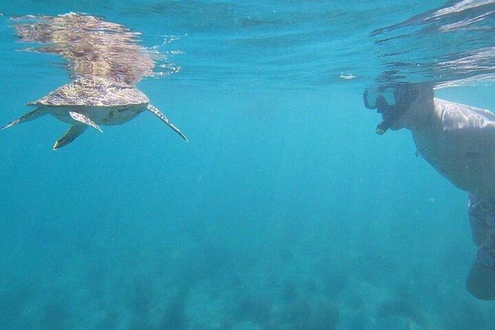 Snorkeling in Paradise - Videos Included