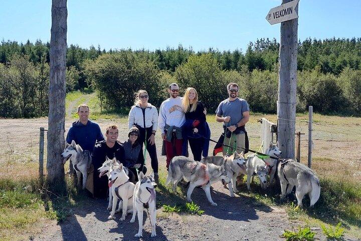 Wandelen met Husky in Akureyri (privé)