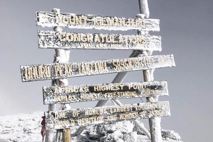 Kilimanjaro Escalada 7 Días Ruta Lemosho