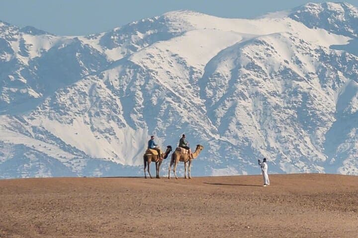 From Marrakech: Agafay Desert Camel Experience
