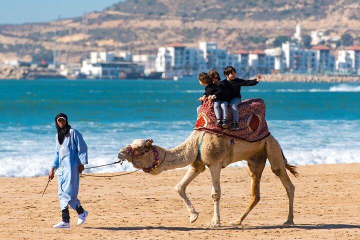 Visite Agadir Medina con paseos en camello o a caballo.