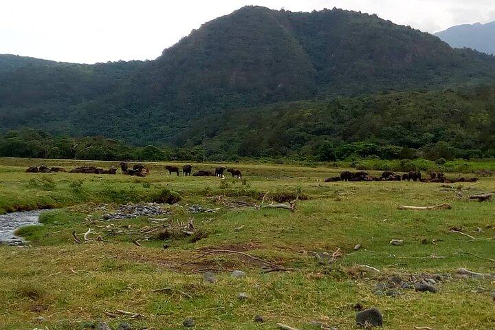3 dages Mount Meru Trek