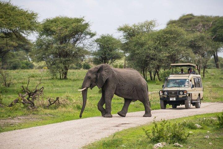 2 dage Ruaha Nationalpark