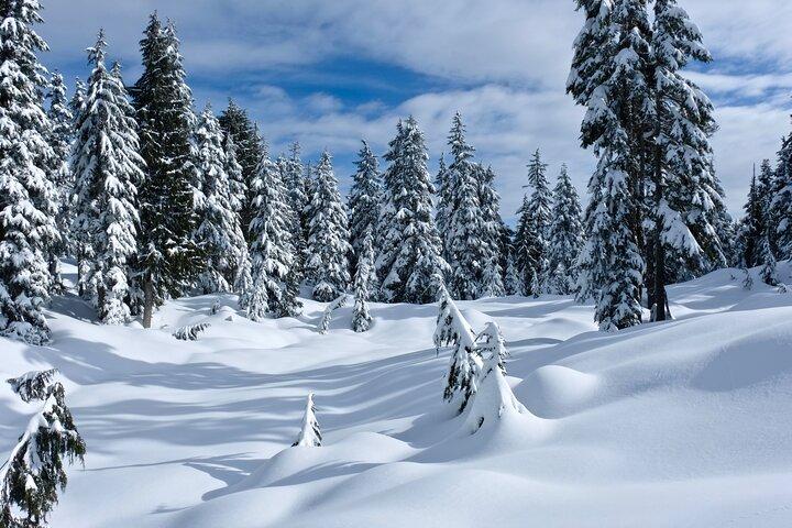 Snesko i Vancouvers Winter Wonderland