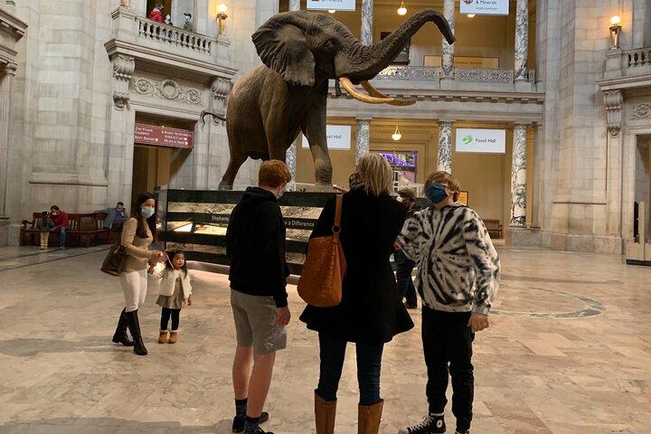 Visita guiada al Museo Smithsoniano de Historia Natural