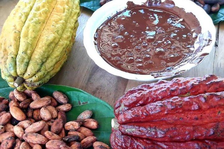 Cacao Tour de Medellín